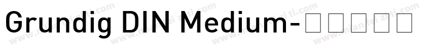 Grundig DIN Medium字体转换